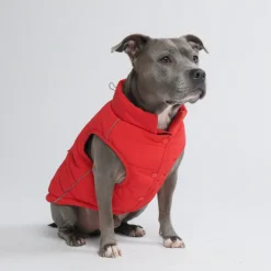WarmShield Water-Resistant Jacket - Red