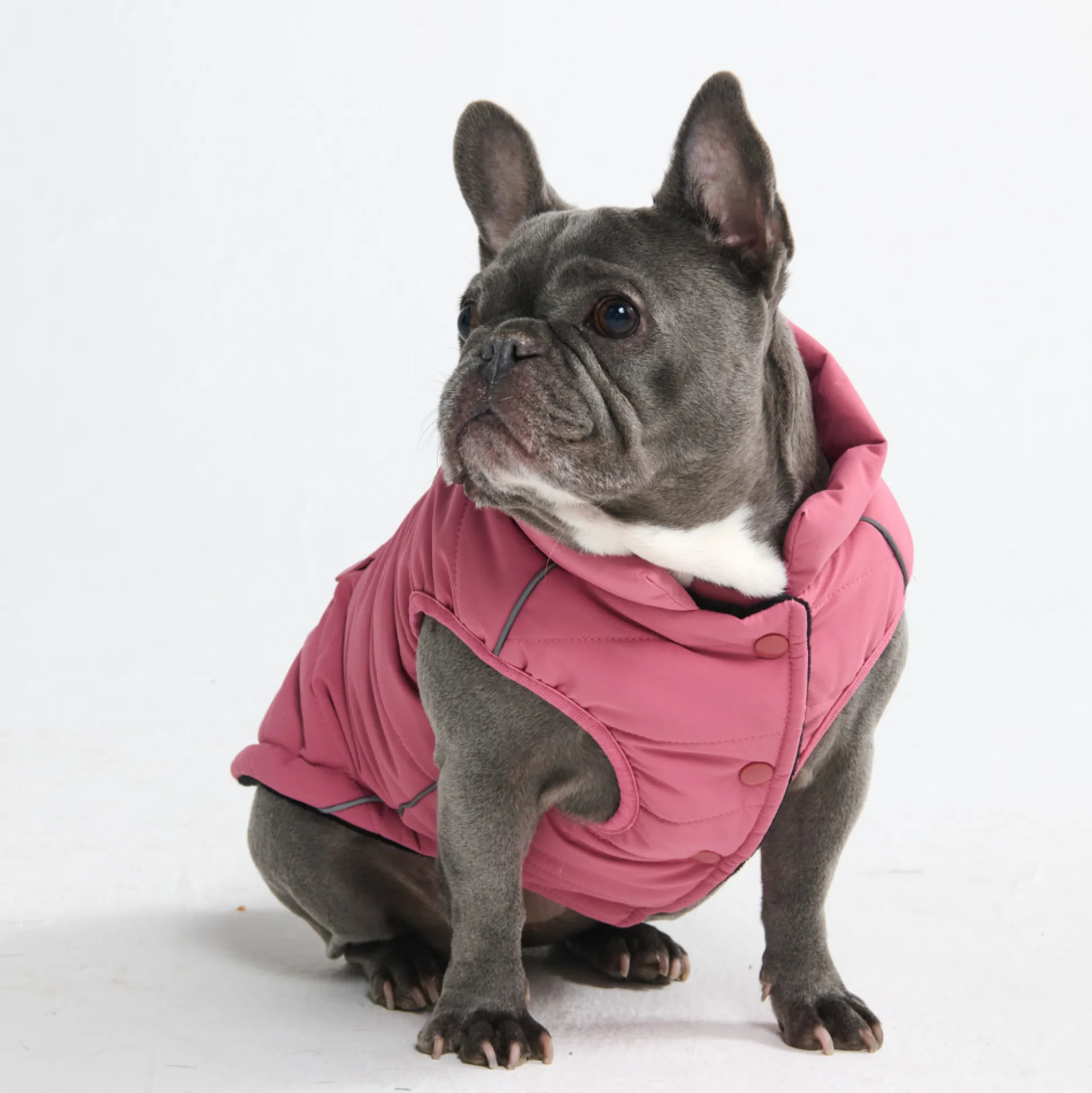 WarmShield Water-Resistant Jacket - Dusty Pink