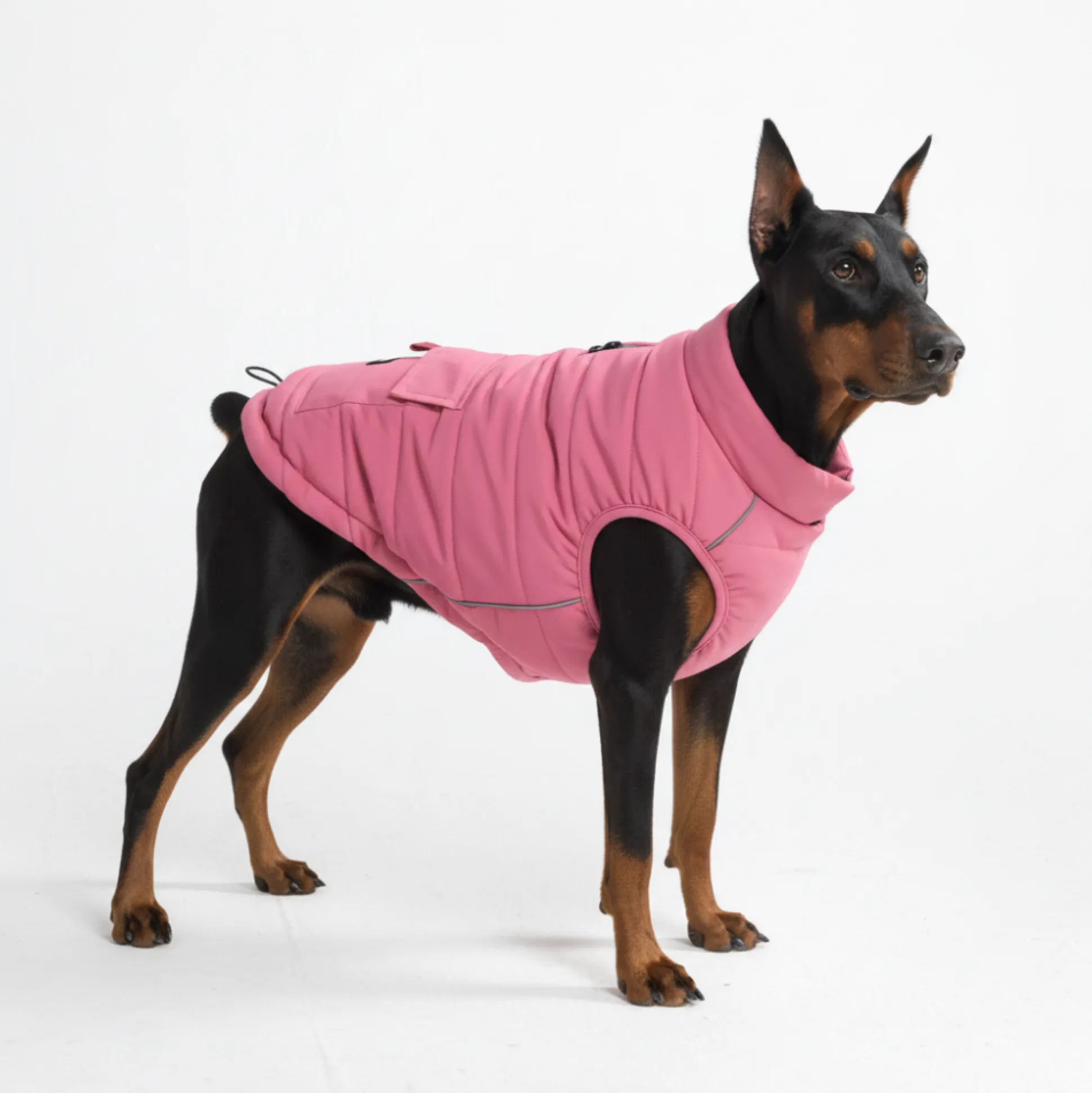 WarmShield Water-Resistant Jacket - Dusty Pink