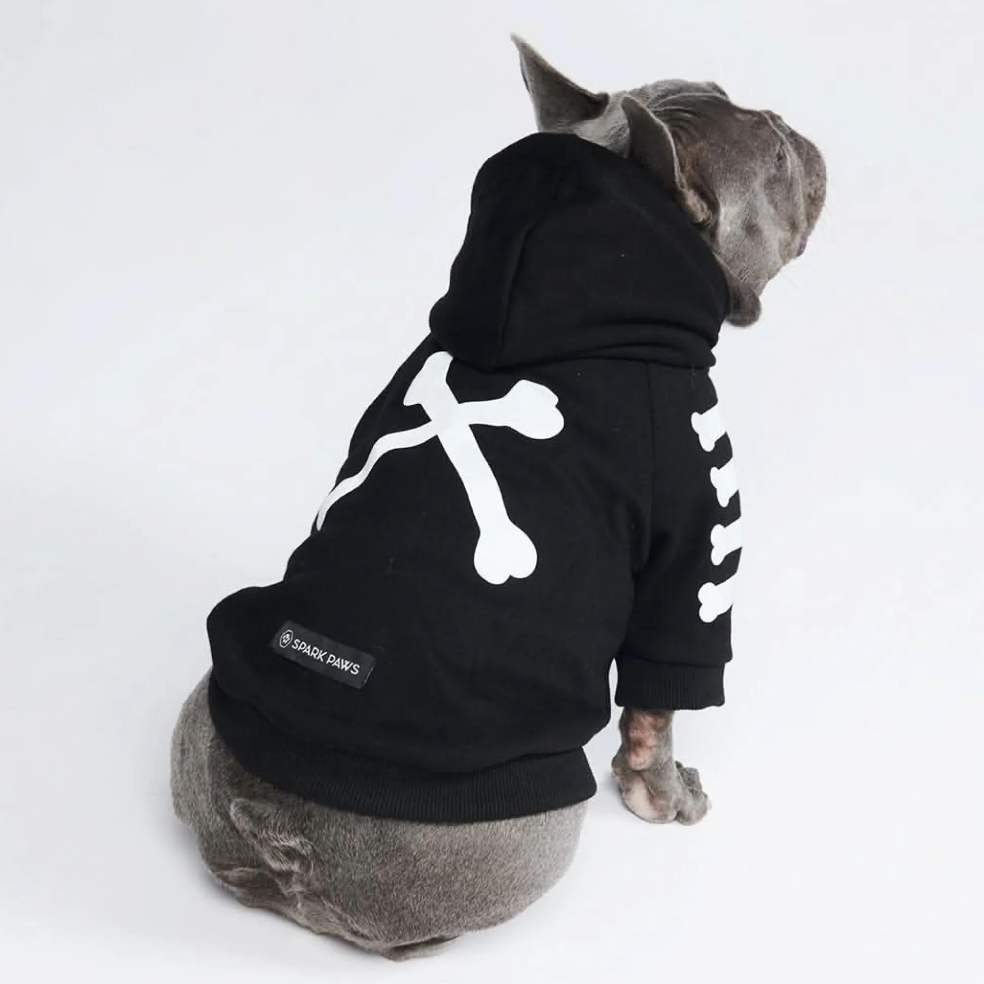 WOOF Dog Hoodie - Black & Reflective