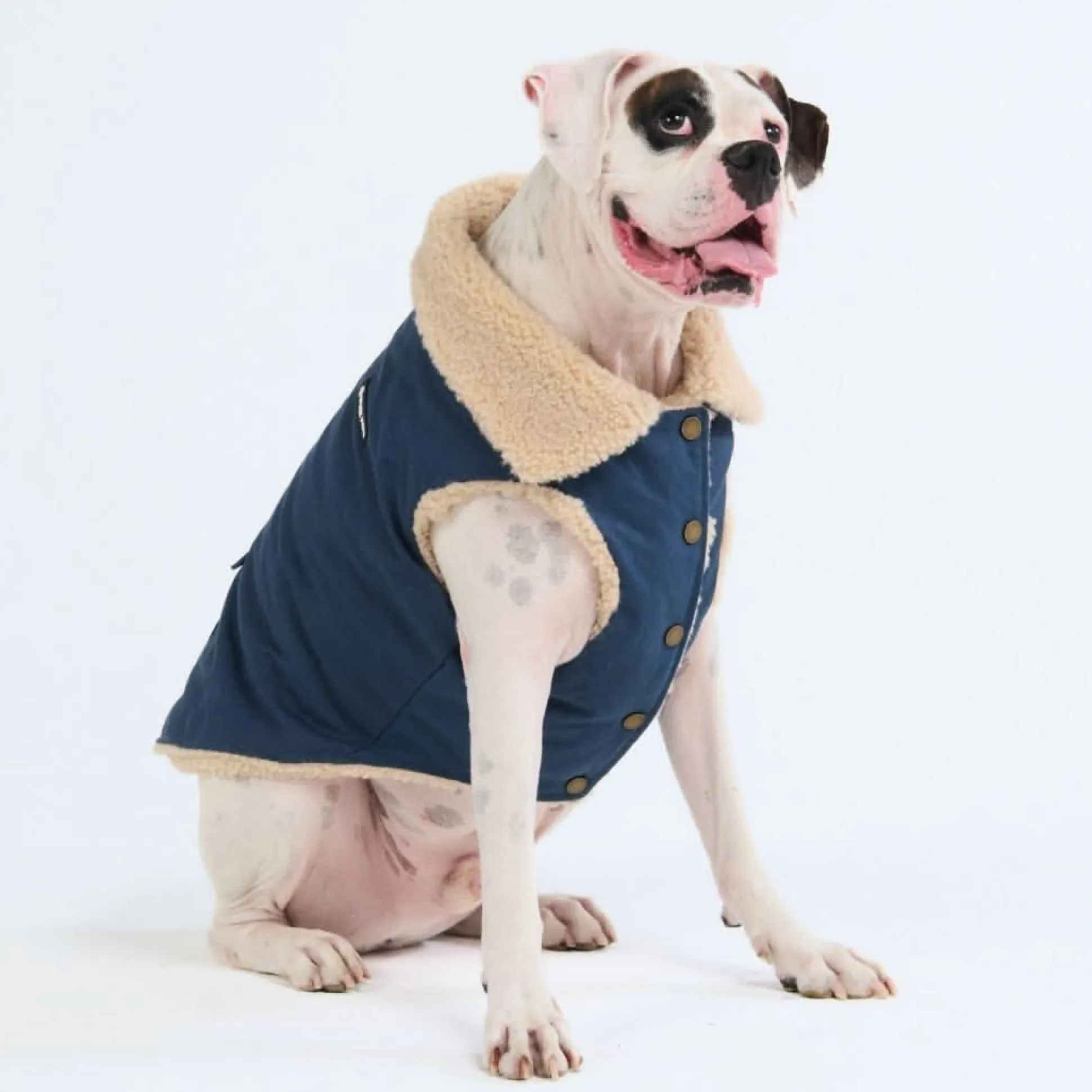 Workdog Insulated Utility Jacket - Navy