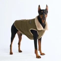 Workdog Insulated Utility Jacket - Green