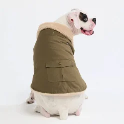 Workdog Insulated Utility Jacket - Green